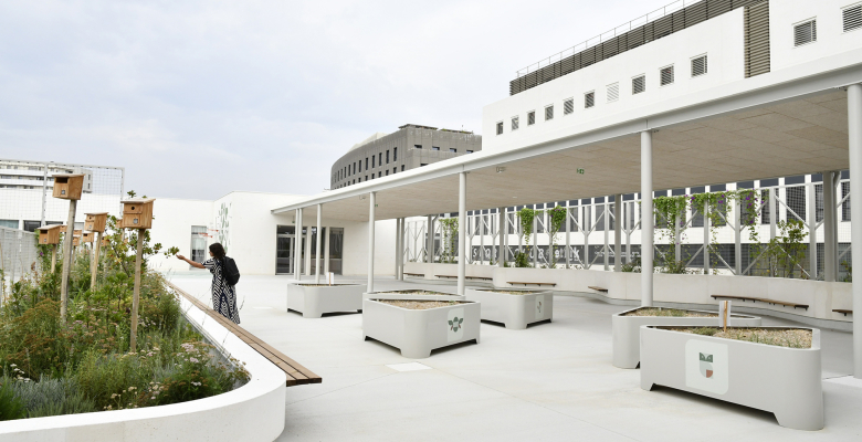 Extérieur - Ecole primaire Jules Isaac - Sophie Scholl