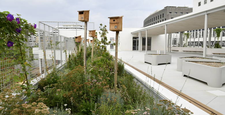 Extérieur - Ecole primaire Jules Isaac - Sophie Scholl