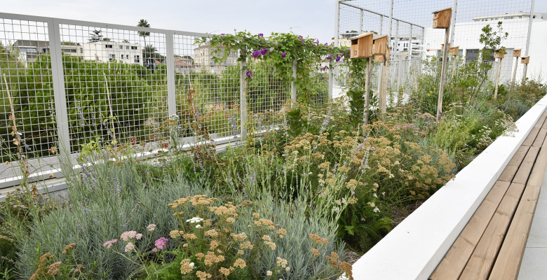 Extérieur - Ecole primaire Jules Isaac - Sophie Scholl