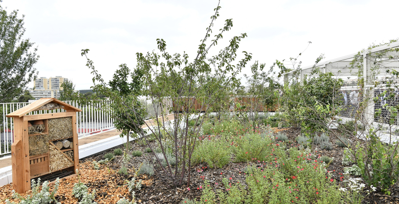 Ecole primaire HYPATIE