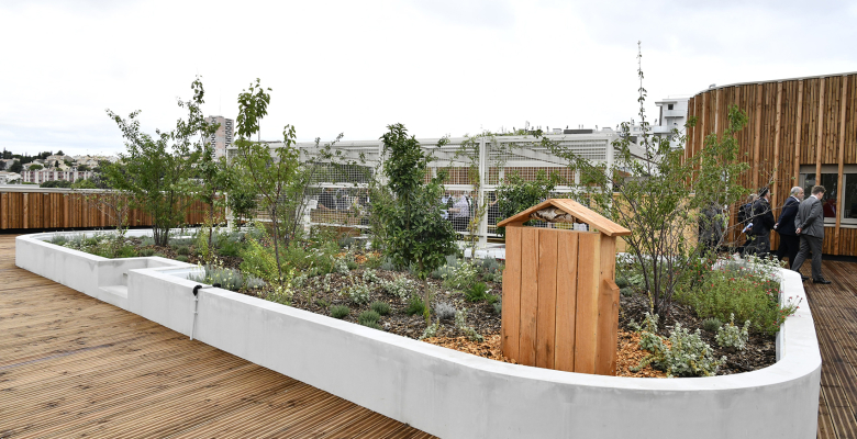 Extérieur - Ecole primaire HYPATIE