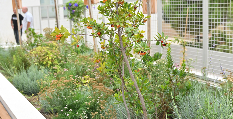 Extérieur - Ecole primaire Jules Isaac - Sophie Scholl