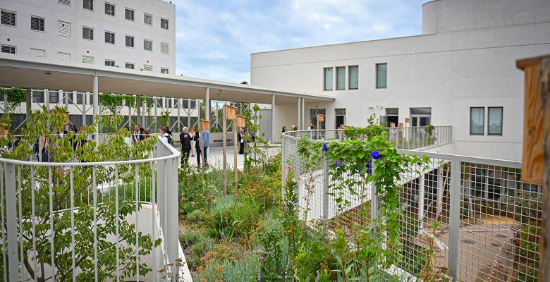 Extérieur - Ecole primaire Jules Isaac - Sophie Scholl