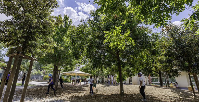 Cour aventure - Ecole élémentaire Voltaire