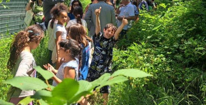 Les enfants ont dévoilé le havre de paix de la loutre, suivez le chemin!