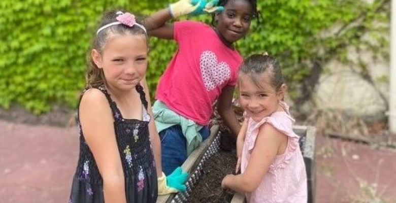 Les 3 jardinières