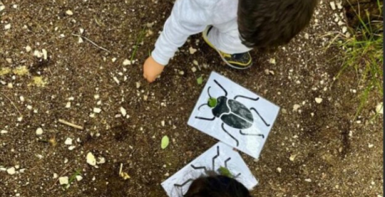 enfant avec dessin insecte