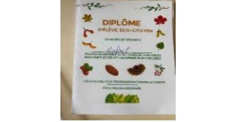 diplôme