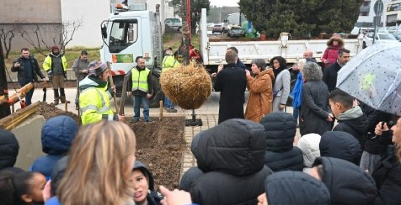 Plantation sur parvis Hypatie